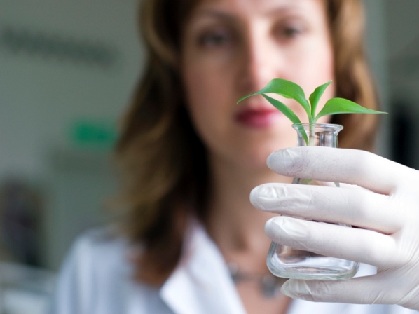 Centre Technique de l'Agro-Alimentaire